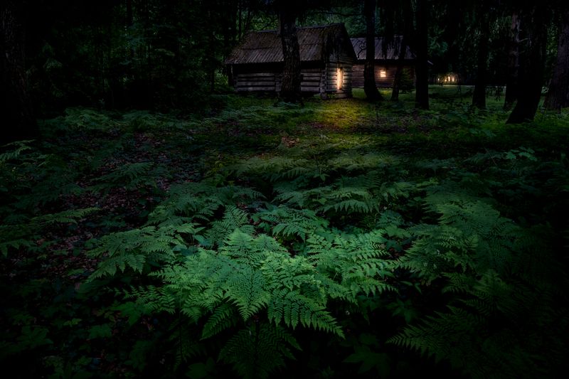 василёво, тверская область, торжок, нд, by night, night, когда не спится, ночное фото, village, деревня, русская деревня, ночь Огонькиphoto preview