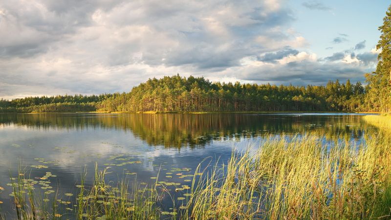 лес, озеро, игра света, беларусь Игра светаphoto preview