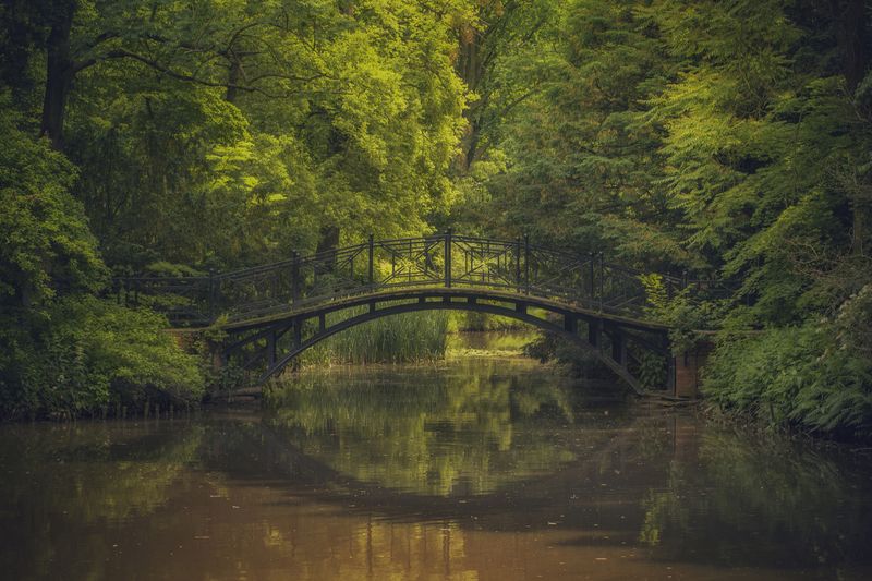 Bridge, Lake, Nature, Park, Landscape, Tree, Architecture, River, Psczyna Bridge фото превью