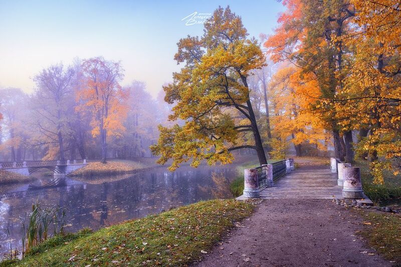 санкт-петербург, осень, парки, александровский парк, утро По осенним паркам Санкт-Петербурга.photo preview