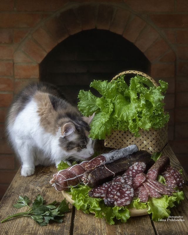 натюрморт, еда, овощи, кошка Дегустаторphoto preview