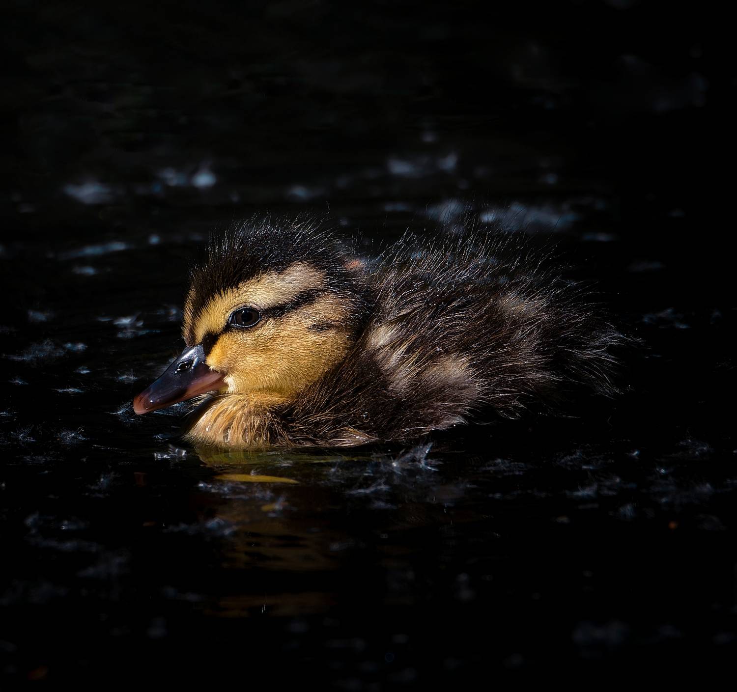 Автор: Фото Александр , Фото Александр