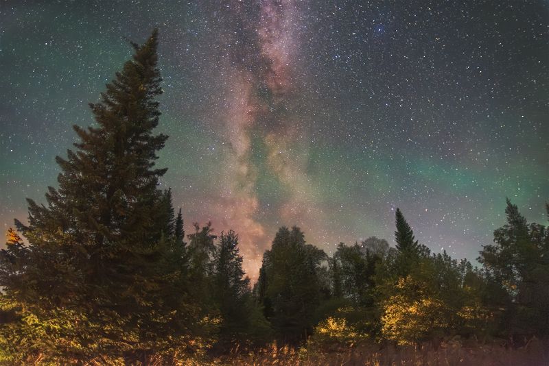 астрофото, астрофотография, ночь, астрономия, астропейзаж, млечный путь, звезды, ночное небо, night, nightphotography, stars, milkyway, longexposure Магия ясной таежной ночиphoto preview