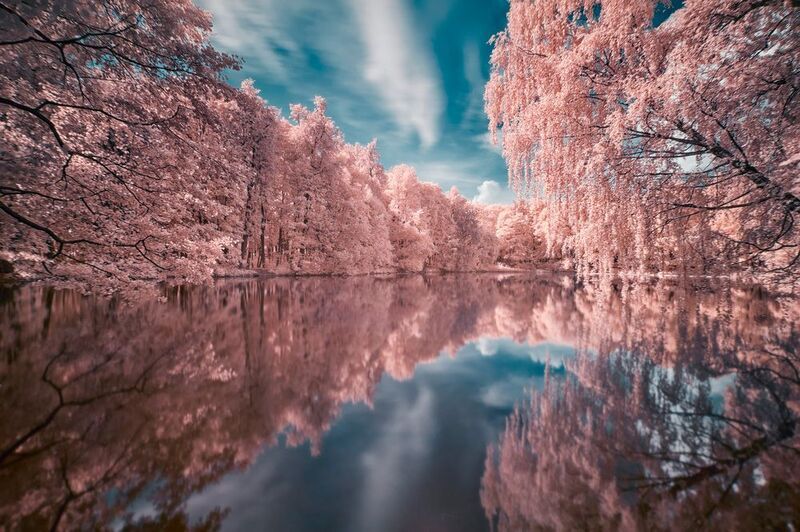 парк, деревья, отражения Парк в инфракрасном спектреphoto preview