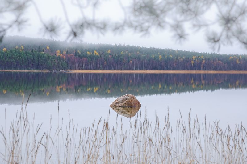 карелия, лоухи, чупа, белое море, чупинская губа, русский север, северный пейзаж, карельский пейзаж, природа карелии, туман, тайга, осень Предзимние туманыphoto preview