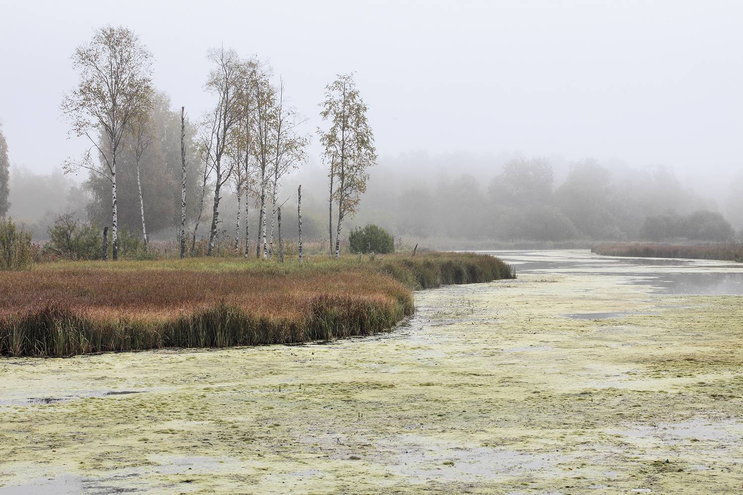 ,  александр михайлов