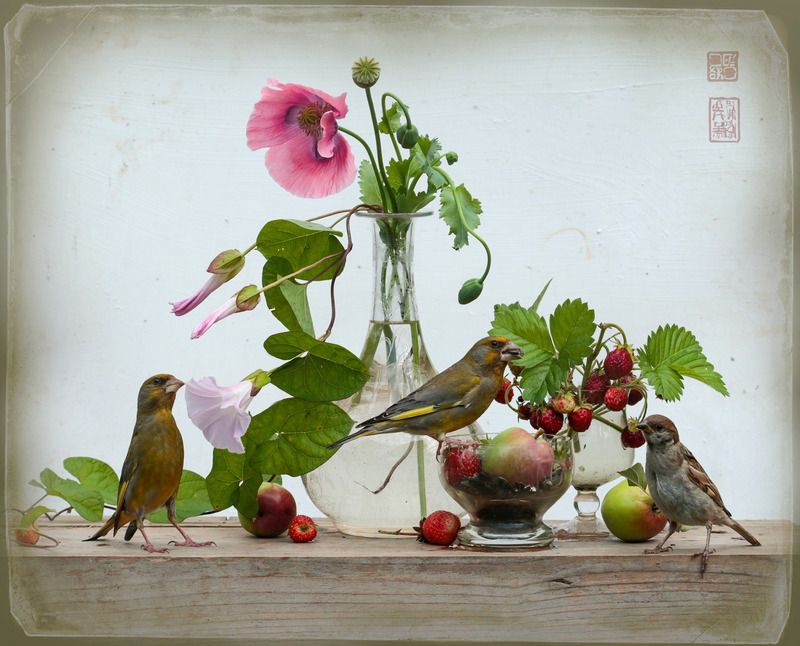 Натюрморт с макомphoto preview