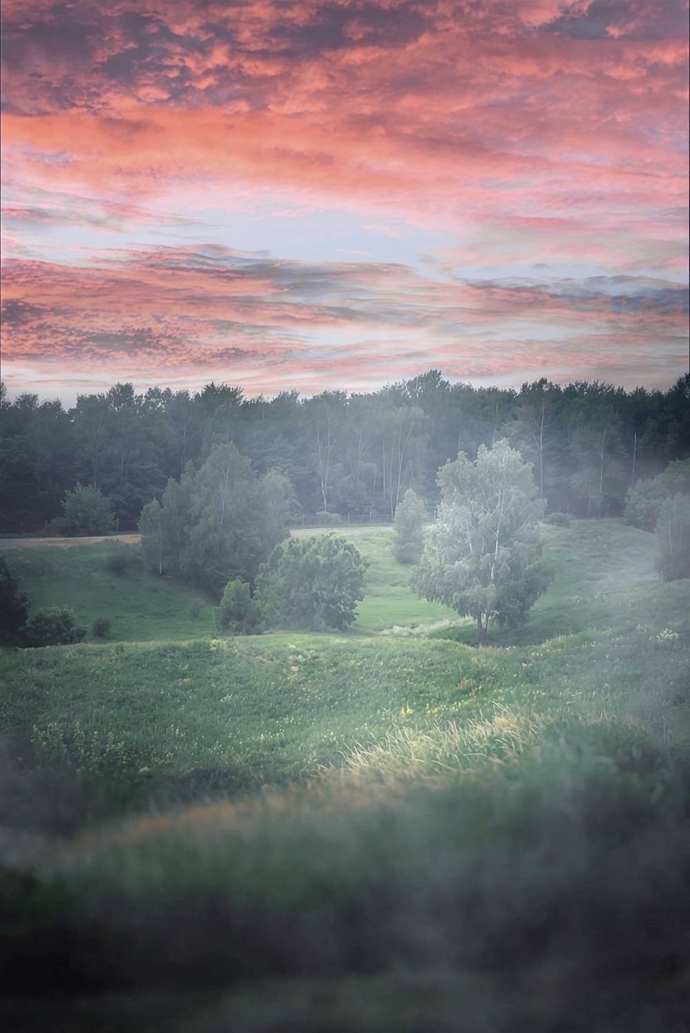 пейзаж, landscape, nature, природа, лето, summer, туман, Julia Kaissa