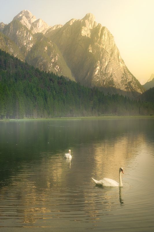 #lagodidobbiaco  @lagodidobbiaco photo preview