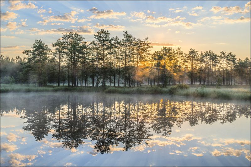Июньский восход на торфяниках (продолжение)photo preview