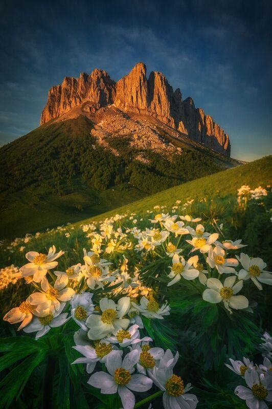 В краю цветов и солнцаphoto preview