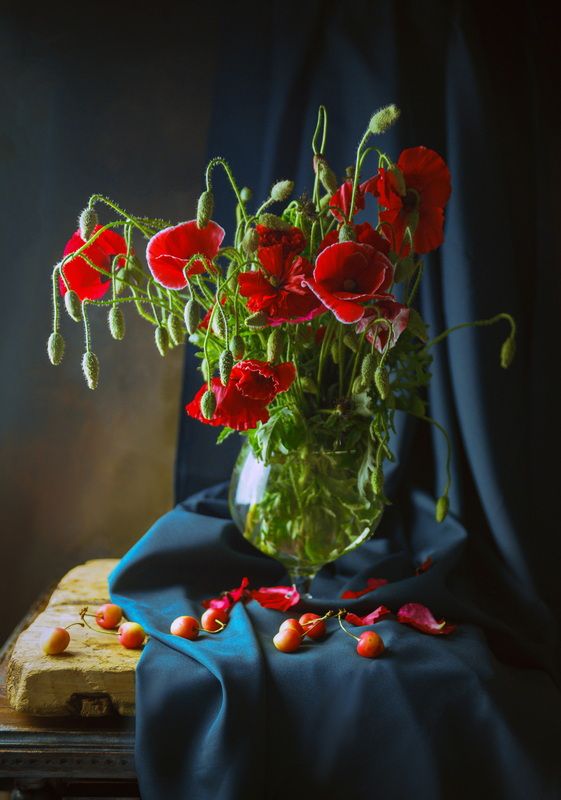 Маки на синемphoto preview