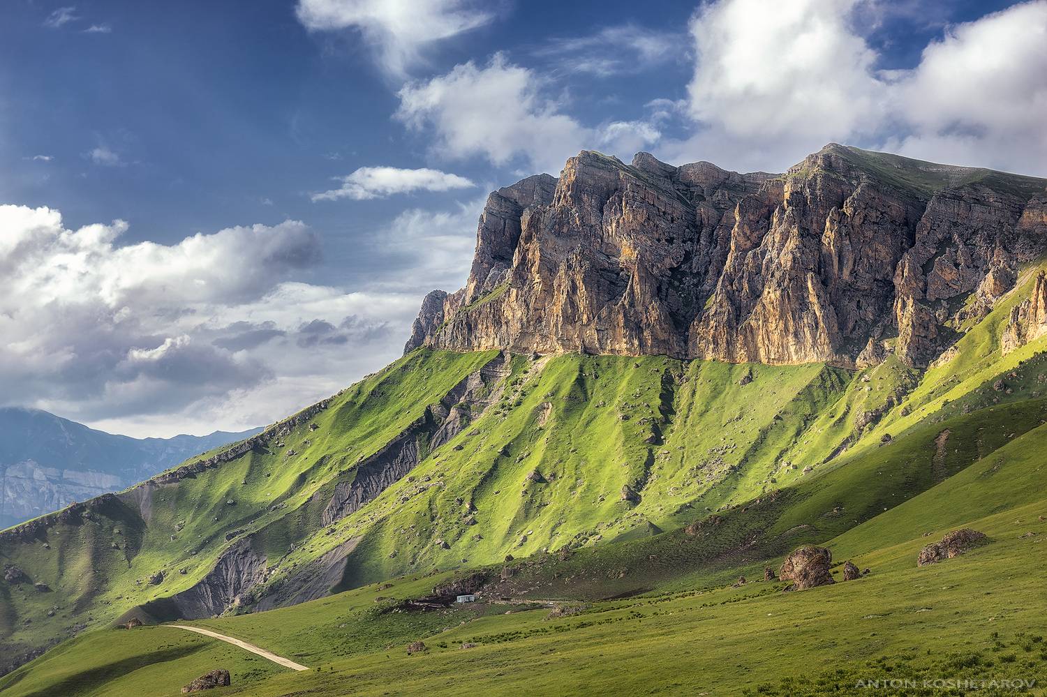 , Антон Кошетаров