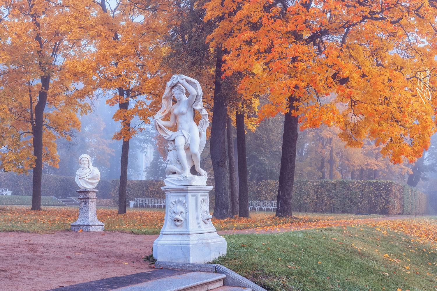 санкт-петербург, екатерининский парк, осень, утро, туман, Липецких Владимир