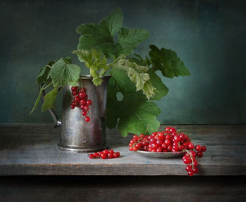 смородина поспела.photo preview