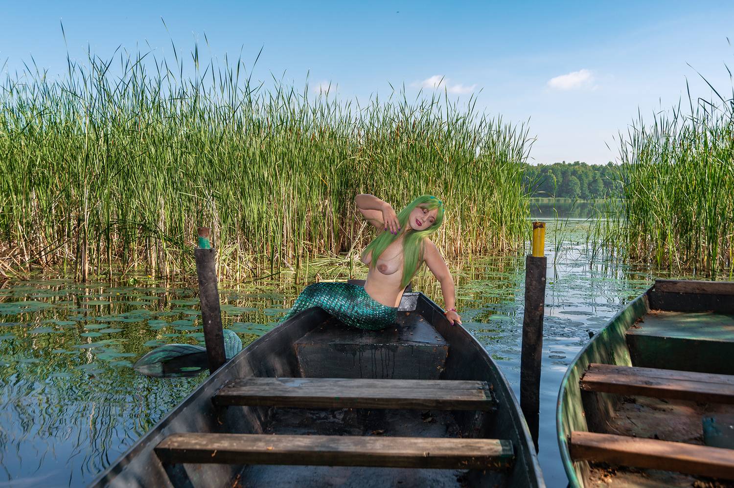, Владимир Ноздрачев