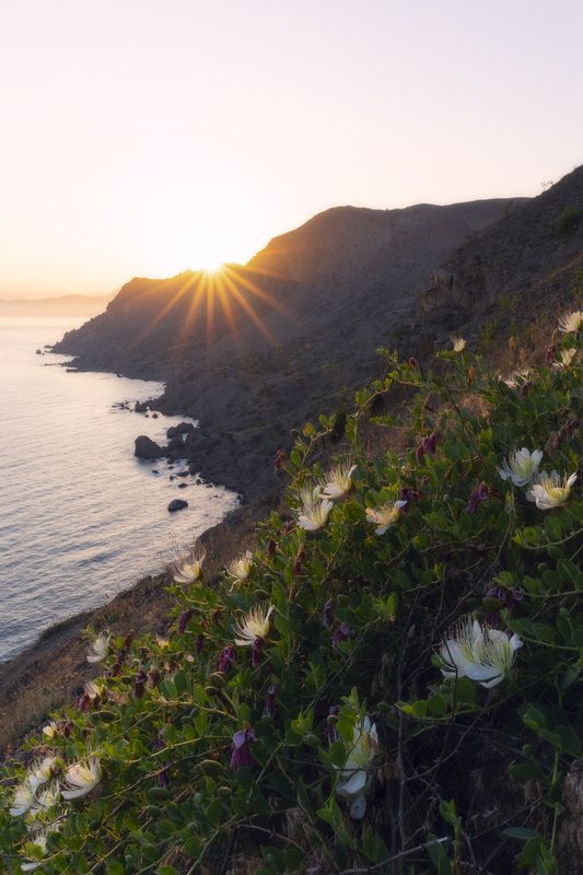 Закат на мысе Меганомphoto preview