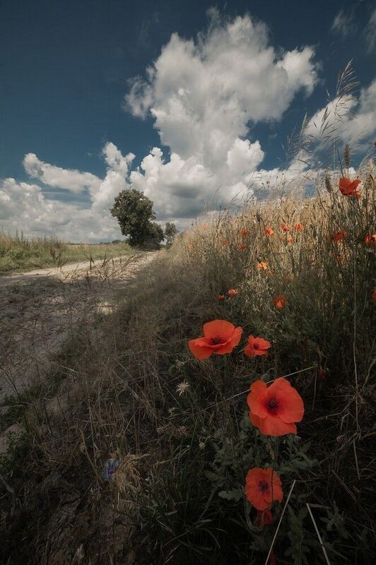 Середина летаphoto preview