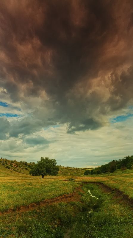 Нечтоphoto preview