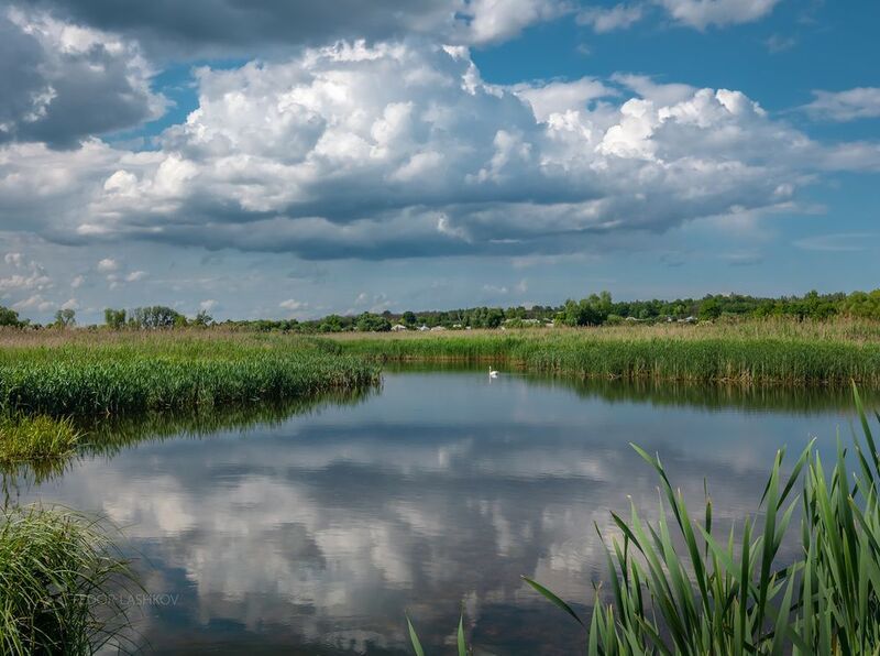 белгородская область, белогорье, холмы, холмистое, облака, облачно, отражение, поле, поля, водоём, днём, закат, степь Облачное летоphoto preview