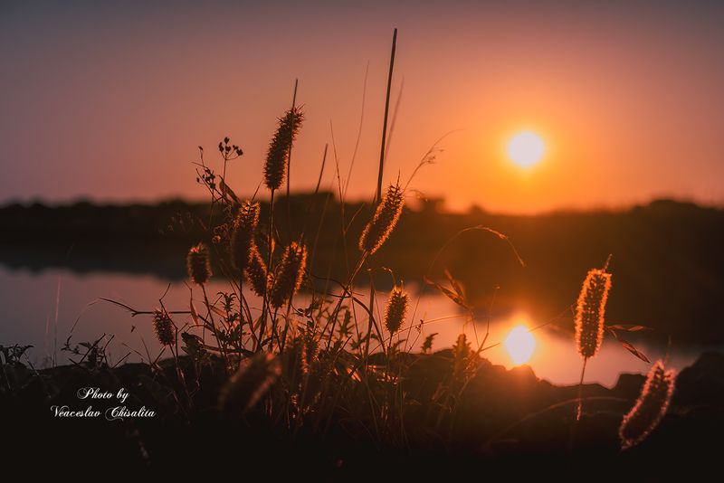 #макрофото #утромвдеревне #рассветнаямагия #зелень #живойсвет Свет на кончиках травphoto preview