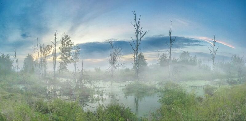 туман в подмосковье Nevfyphoto preview