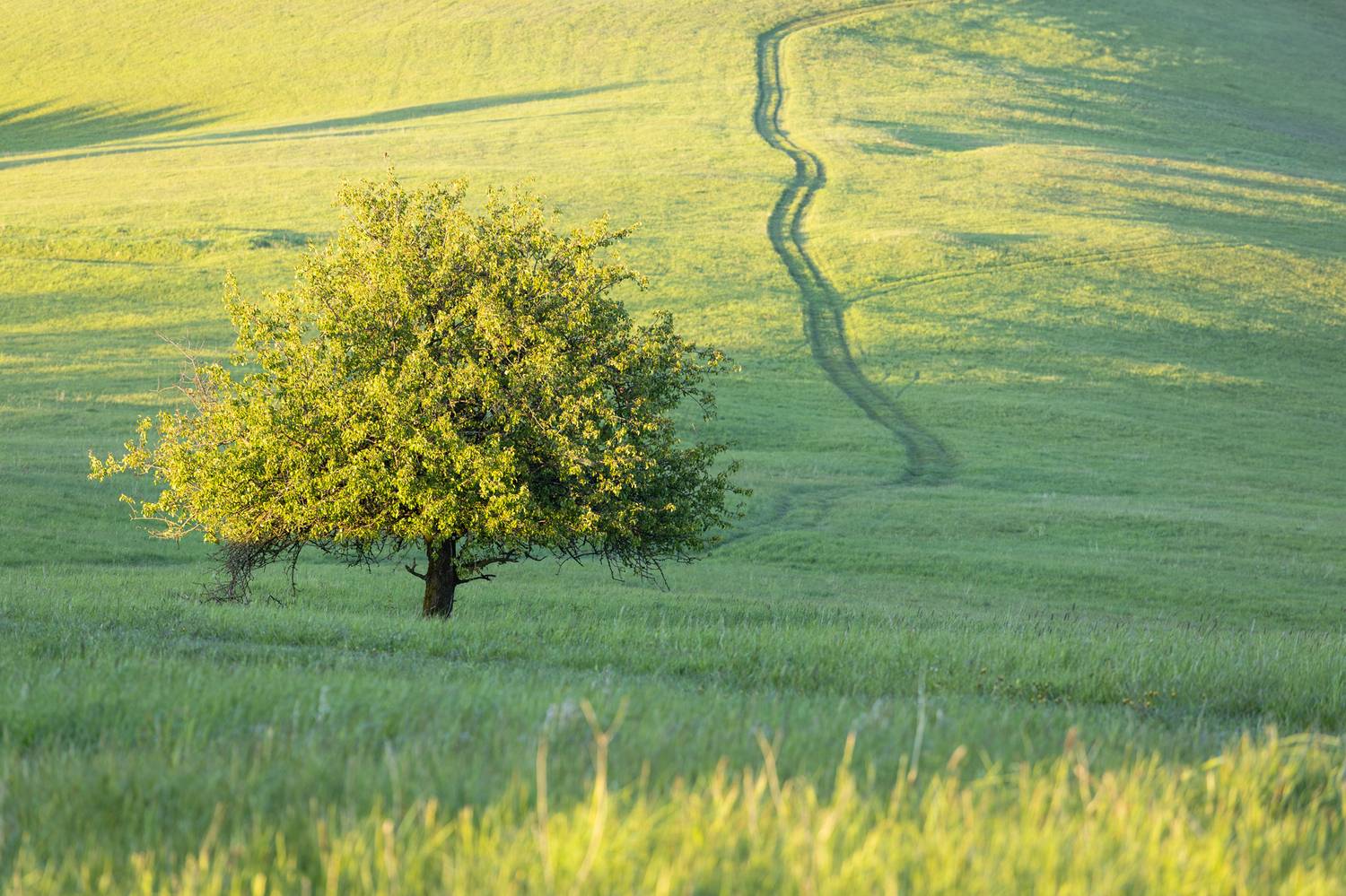 ,  Mirosław Pruchnicki