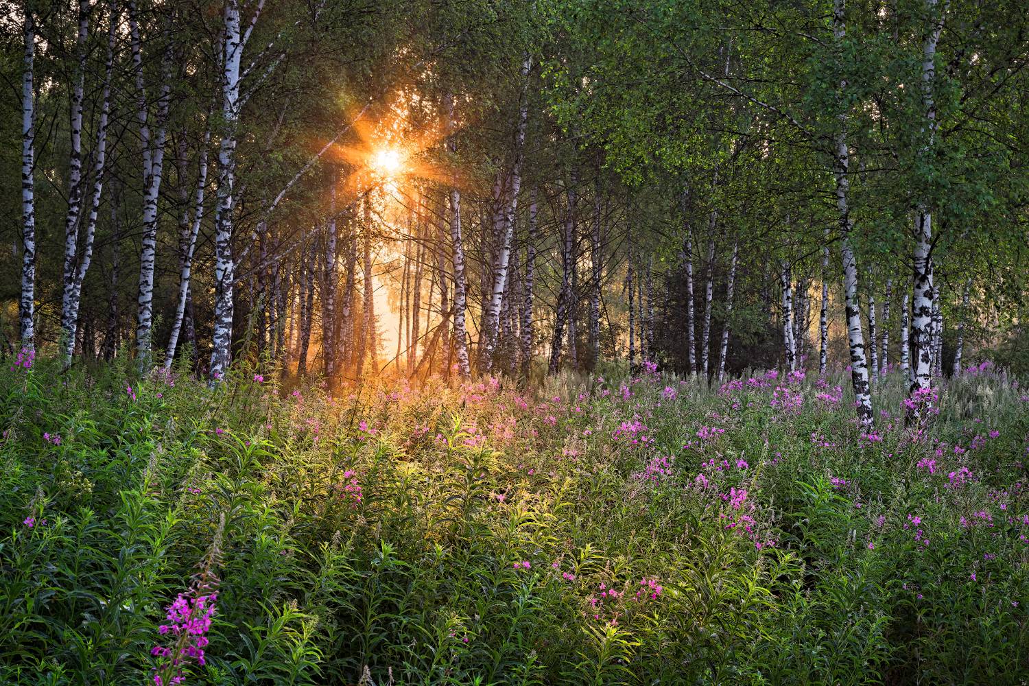 , Евгений Ерохин