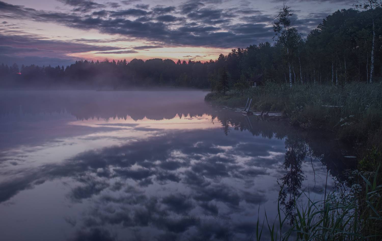луга, ленобласть, пейзаж, рассвет, туман,  landscape, nature, природа, foggy, forest, болото, белая ночь, ленинградская область, Щепотина Татьяна