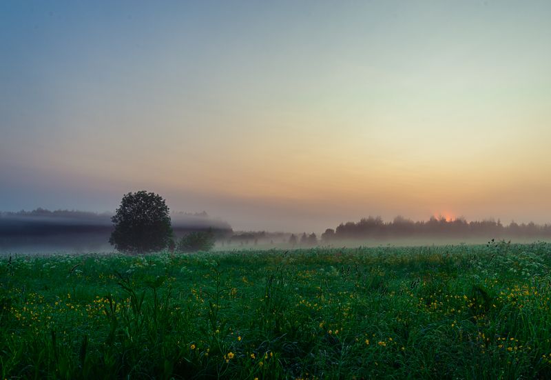 В предрассветный час фото превью
