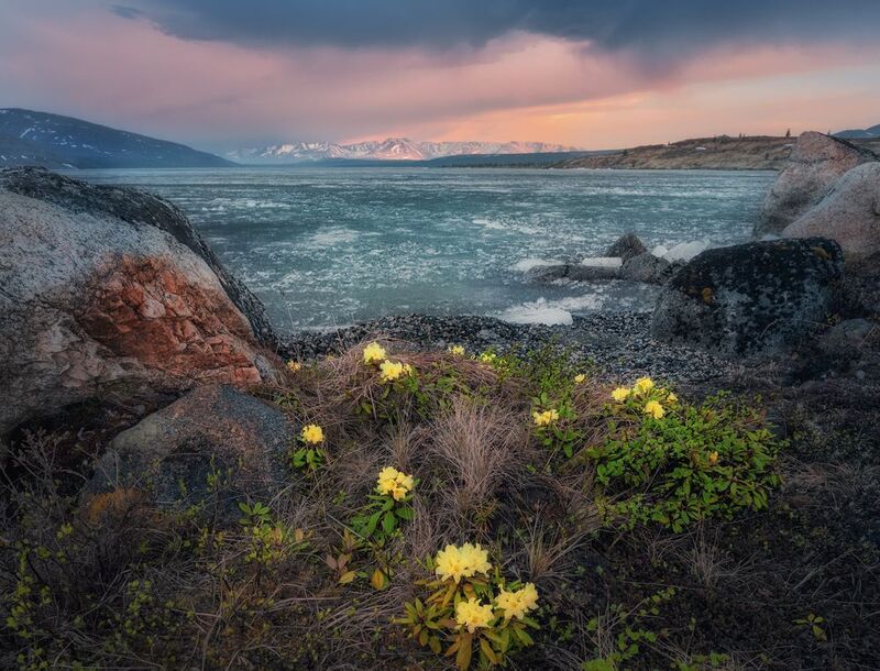 Озеро_Момонтай пейзажи_Колымы Магаданская_область июньский_лёд закат вечер белые_ночи И лёд, и пламя, и цветыphoto preview