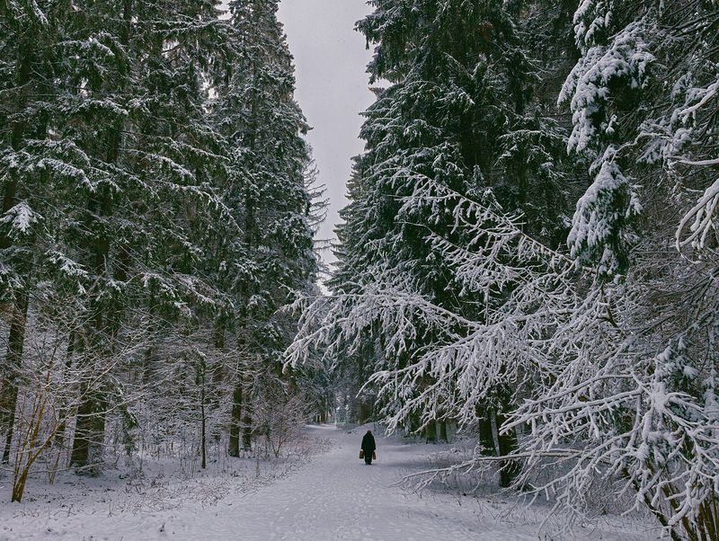 Зима в Пушкинский горахphoto preview