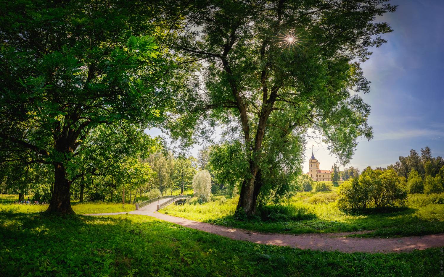 , Евгений Луцко