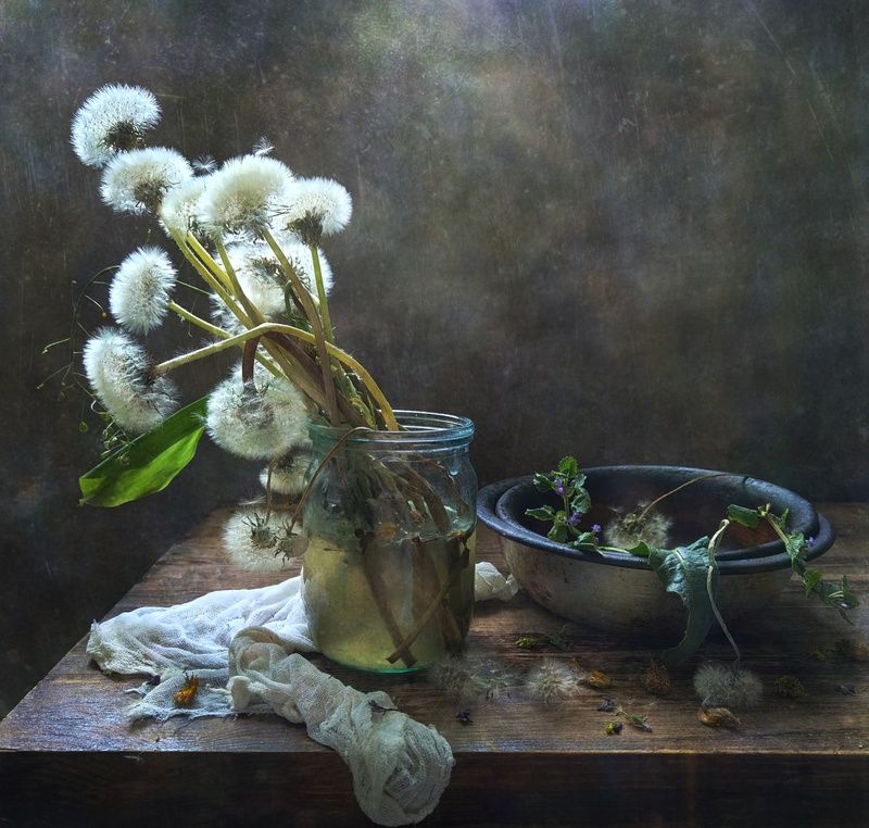 одуванчик, банка, миска, марля Одуванчикиphoto preview