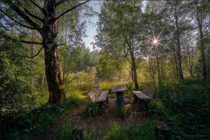 Давно ушли любители этого местаphoto preview