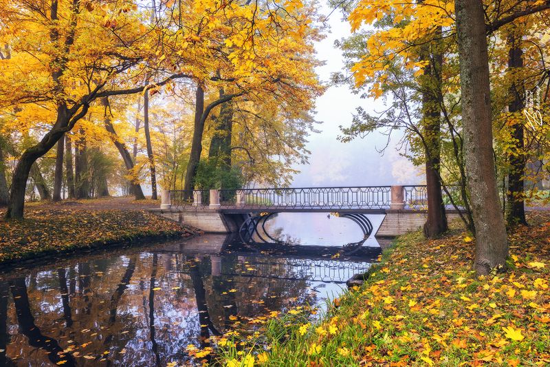 санкт-петербург, александровский парк, пушкин, осень, утро Утро в Александровском паркеphoto preview