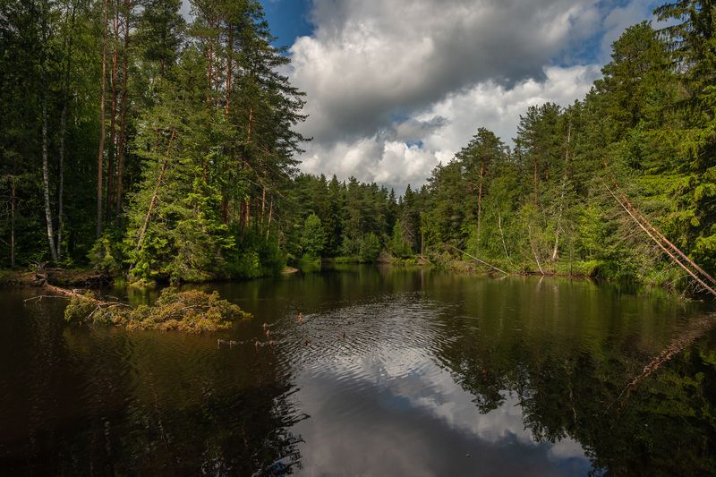 фото превью