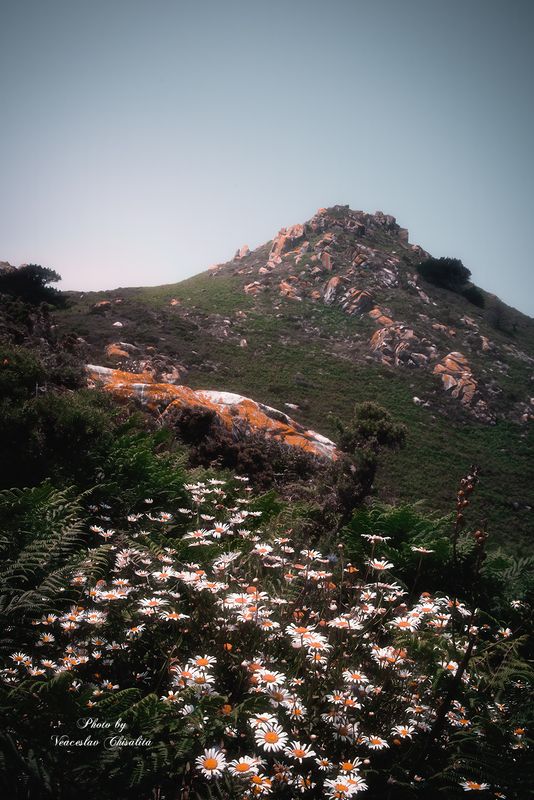 #пейзаж #пейзажнаяфотография #природа #фотодлядуши #фотолюбитель #фотографлюбитель #фотодня #атмосферно #горы #вдохновение Высоко и тихоphoto preview