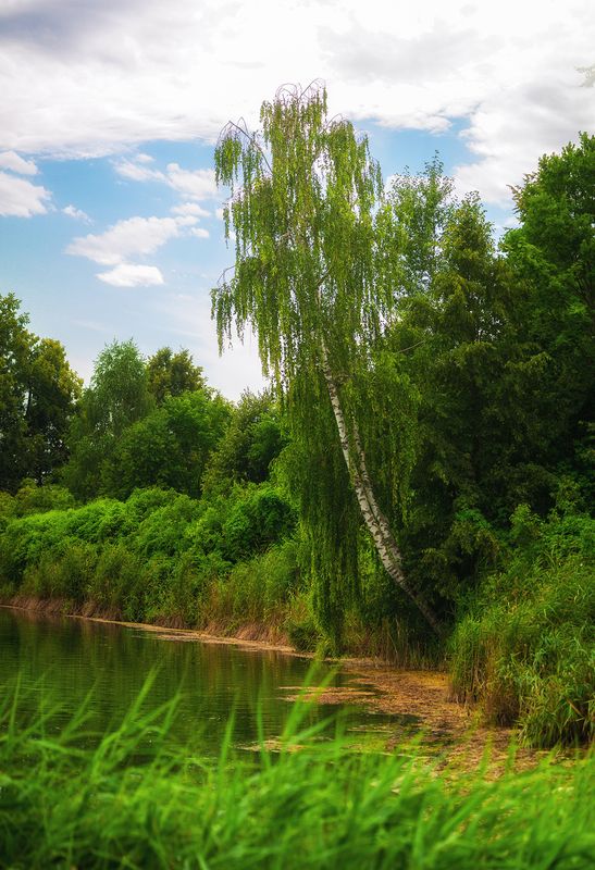 у воды в белом нарядеphoto preview