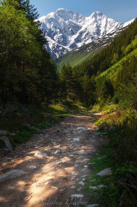 горными тропамиphoto preview