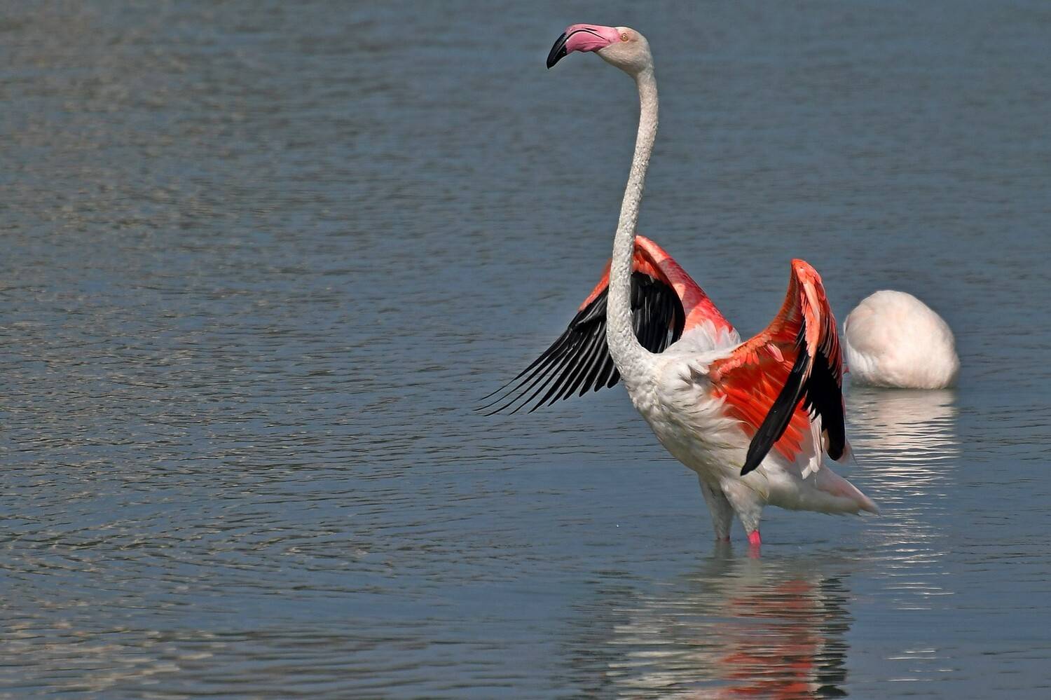 , Корнейчук Игорь