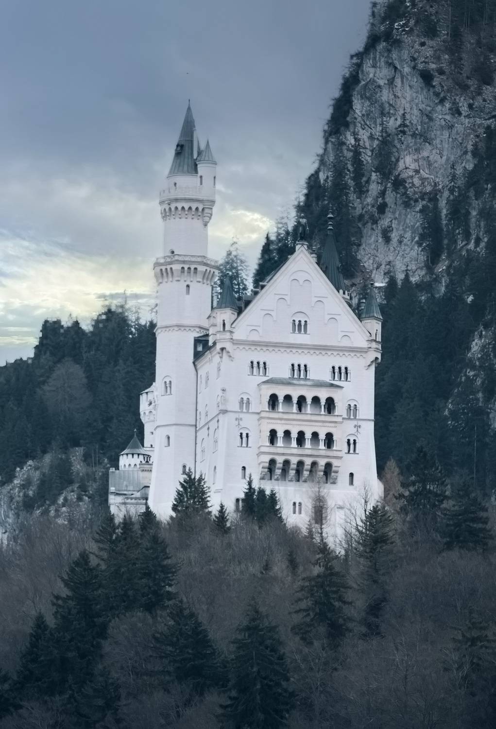 Январский лебедь. Автор: Lilia Tkachenko Замок Нойшванштайн, Lilia Tkachenko