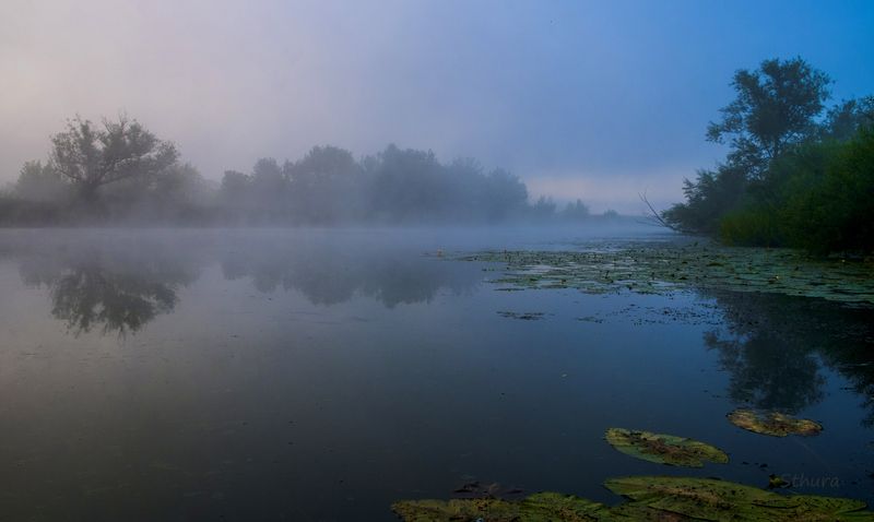 лето утро озеро туман природа пейзаж Пасмурное утро.photo preview