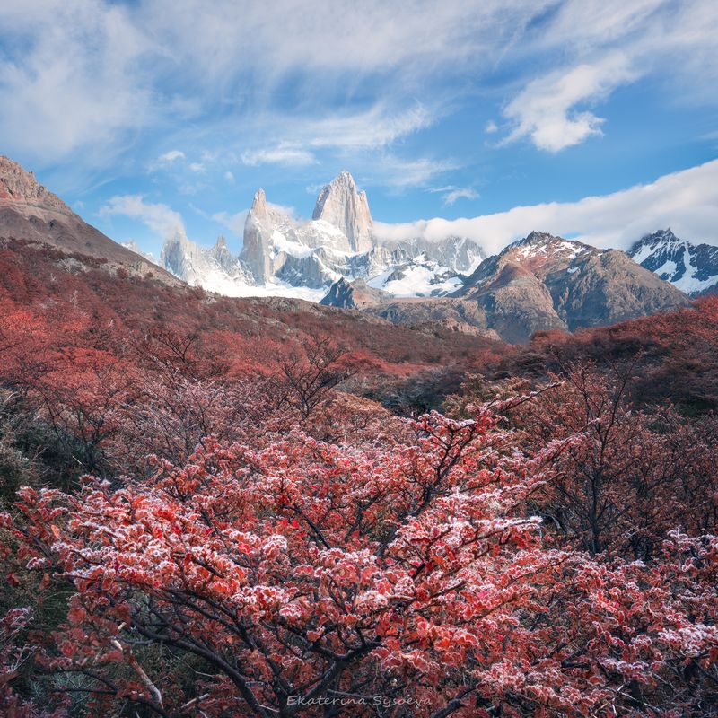 Осенний Фитцройphoto preview