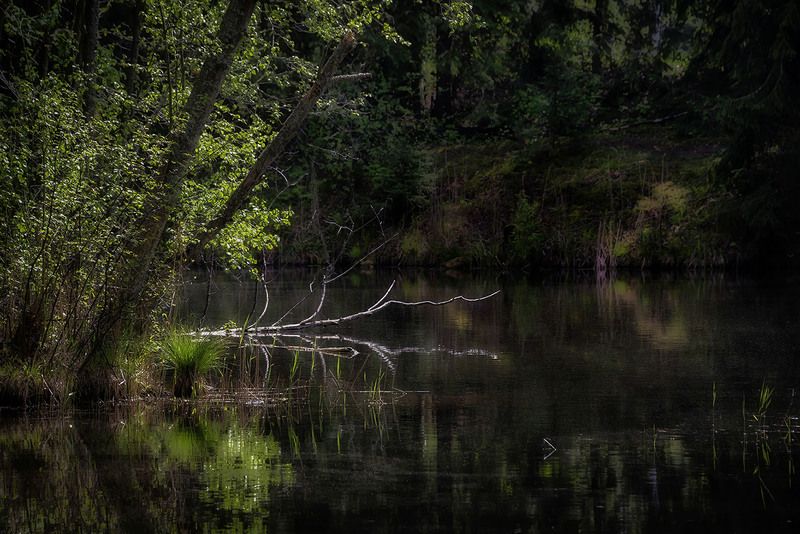 Фрагментphoto preview