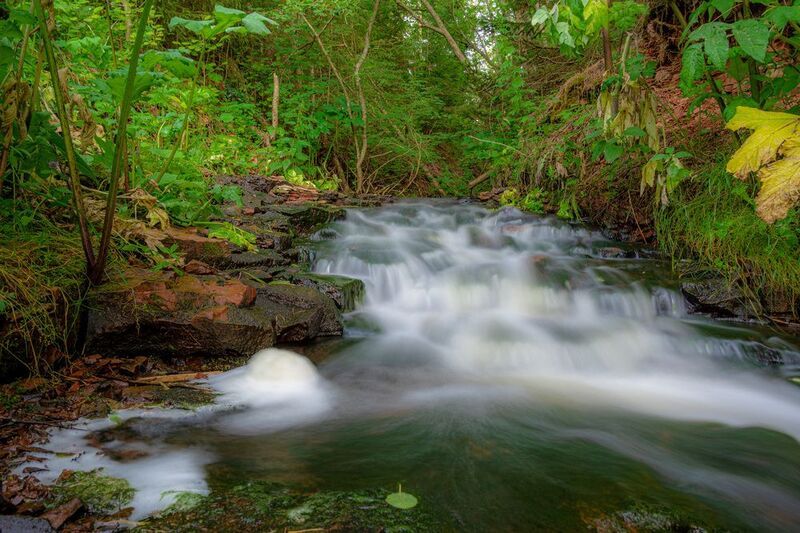 Небольшой водопад на лесной речке фото превью