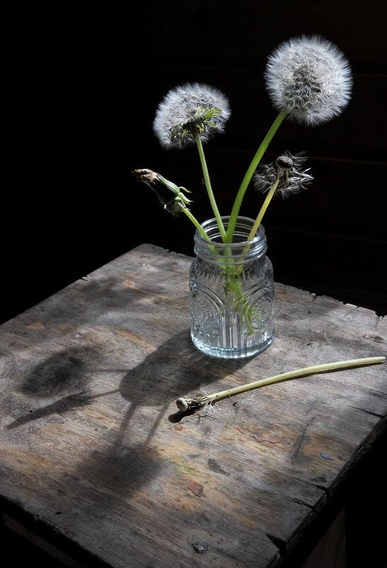 О, жизнь, ты прекрасна!photo preview