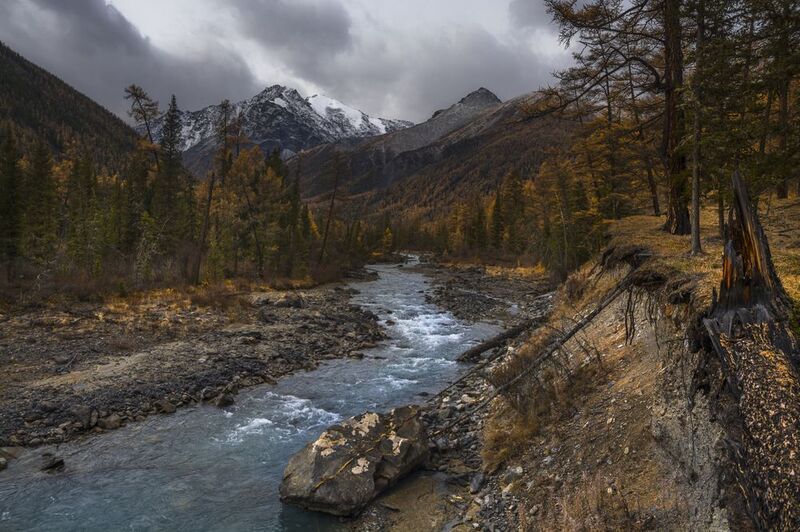 россия, горный алтай,осень,утро Прощальный взгляд фото превью
