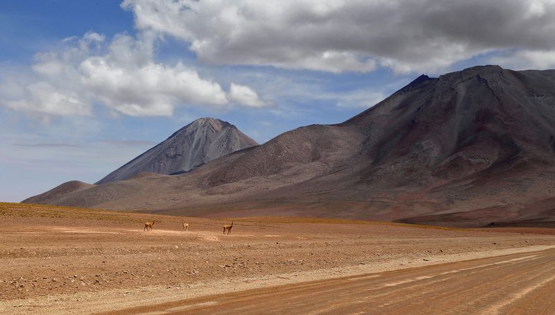 Дальними дорогами..photo preview