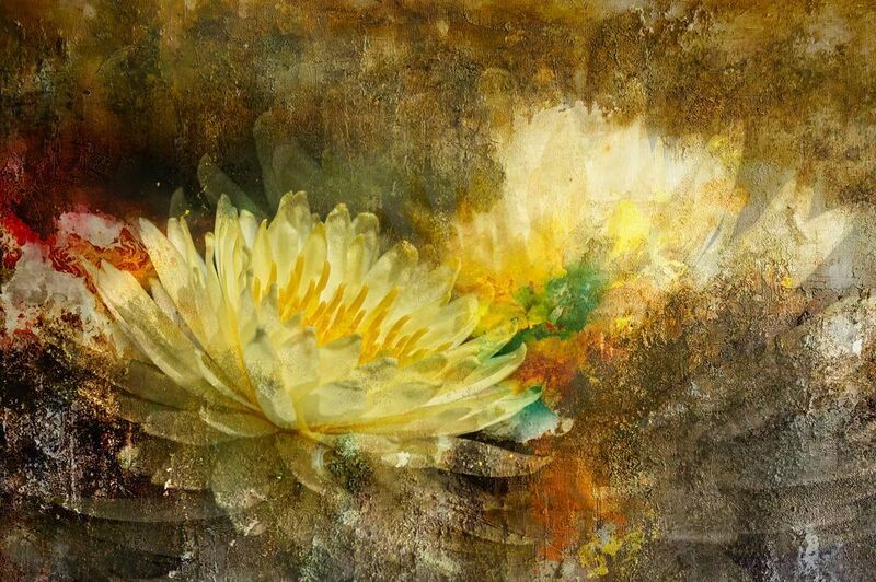 Фантазия с кувшинкой фото превью